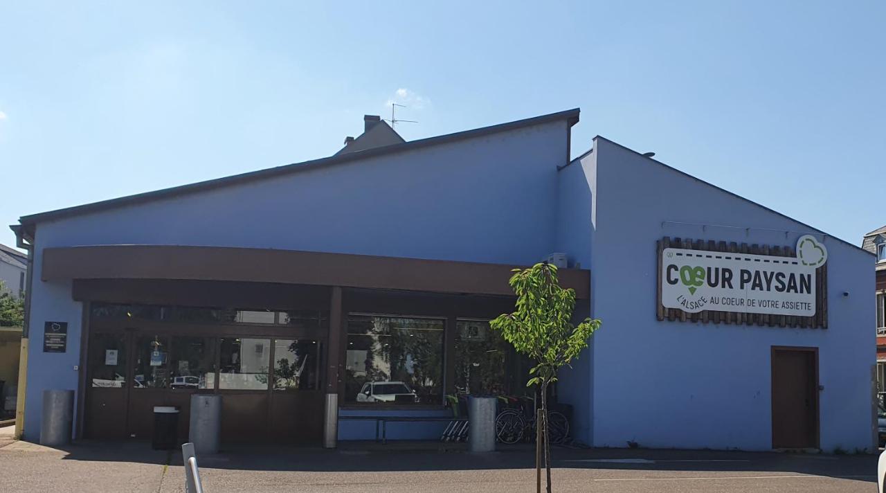 Apartament Le Bienvenue A Colmar - Parking Prive Inclus, Centre A Deux Pas Zewnętrze zdjęcie