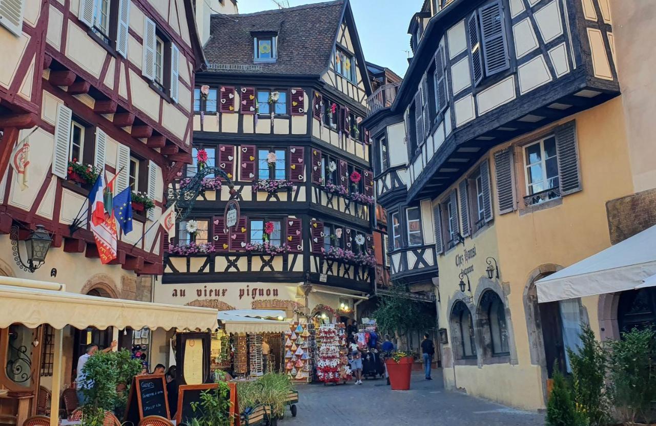 Apartament Le Bienvenue A Colmar - Parking Prive Inclus, Centre A Deux Pas Zewnętrze zdjęcie